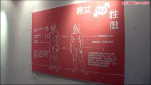 蘋果日報－【同讀文化節開幕大膽講性 工作坊扮開房教性知識】