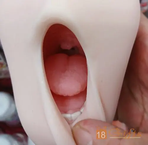 試用報告/開箱文 – 近年必買口交型名器