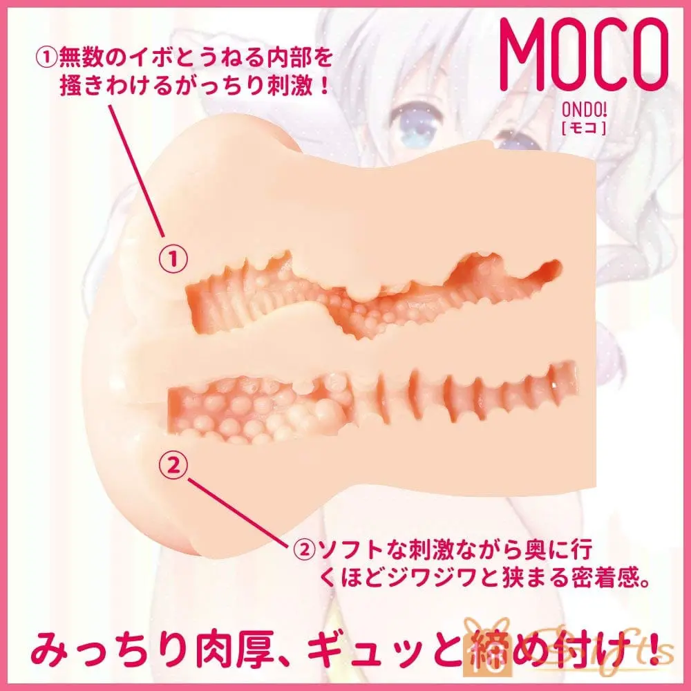 MOCOの2穴屁屁