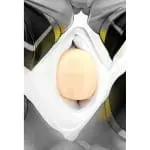 Insert Air Pillow Futamata 充氣雙腳枕頭 開腳型