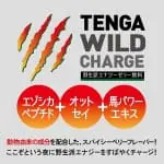 TENGA WILD CHARGE