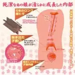 純潔之蜜壼 -進化-