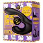 PPP 雌墮後庭指震棒 9