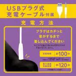 PPP 雌墮後庭指震棒 9