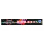 AENUS BIG BANG BETA 粉紅後庭拉珠