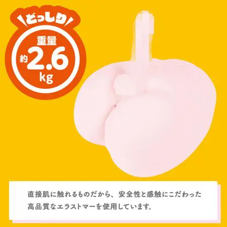 違背道德DX 放置完全固定式