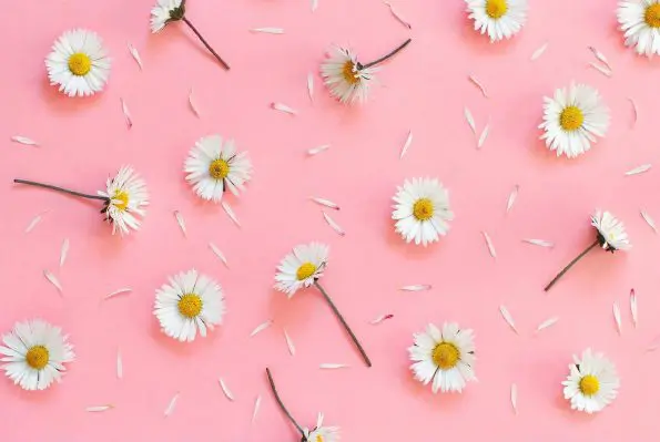 想要安全又潔淨的後庭性愛體驗？這些清洗方法必須知道！