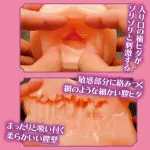 魔王大人墜落 ヴァイス・アンネリーゼ