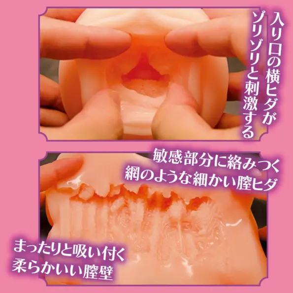 魔王大人墜落 ヴァイス・アンネリーゼ