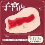 渚いくの的子宮