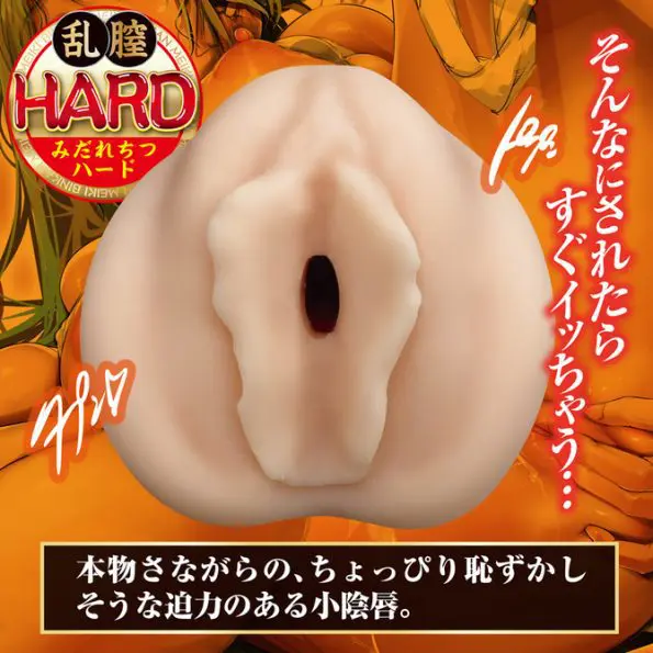 びん姦名器 亂膣HARD
