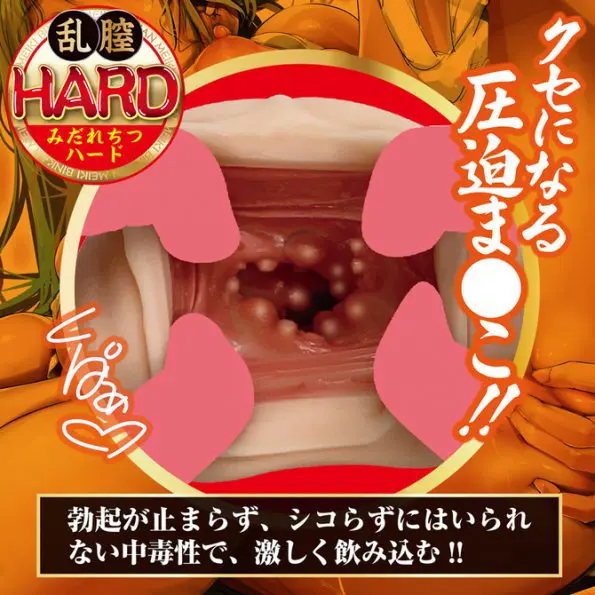 びん姦名器 亂膣HARD