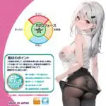 R-20 Fourth (第4代)