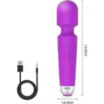 Paloqueth Wand Massager 按摩棒