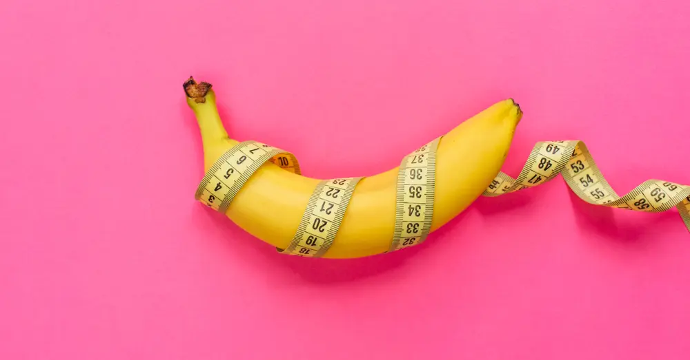 令人無法想高潮快感！助勃環自慰玩法和注意事項