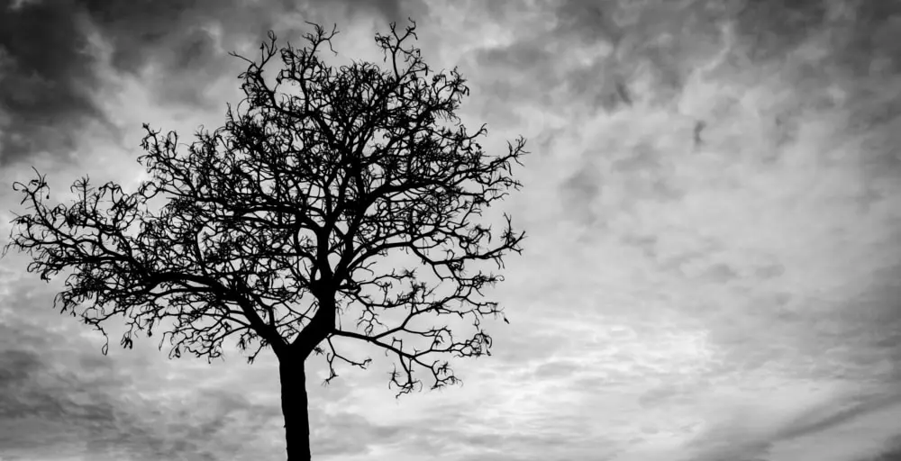 愉悅的代價：切忌輕率服用威而鋼