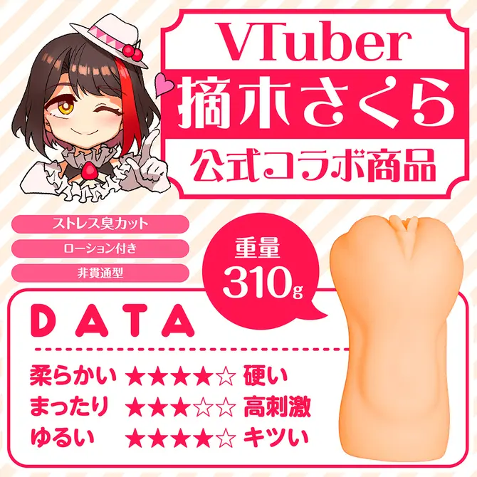 清楚系女子大生家庭教師 摘木さくら