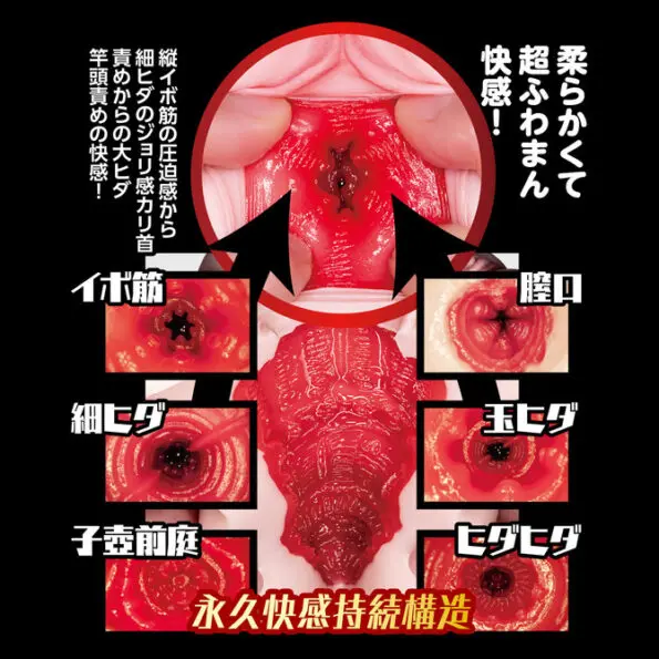 我的專屬女僕【淫亂奉仕】