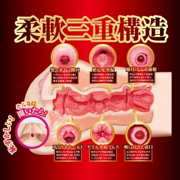 榮譽の名器 橋本有菜