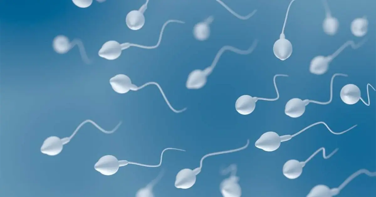 射精有益健康嗎？全面探討利與弊