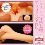 日本妄想女忍〇〇譚 THE HOLE 守崎七姫