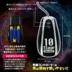 BACK FIRE FOUR BALLS 前列腺震動器