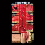 名器創生2 田中檸檬