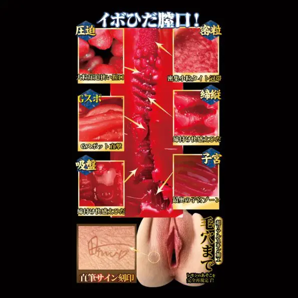 名器創生2 田中檸檬