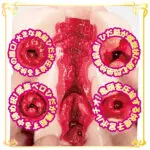 AV迷你名器 美園和花