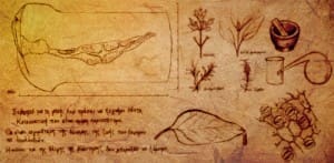 大魔王 Muses Fillo - Image 12