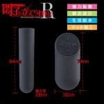 悶子の立 遙距無線震蛋R (充電式)