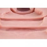 大魔王 Dolphin！（ドルフィン）