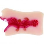 舌技之鬼 松本芽衣