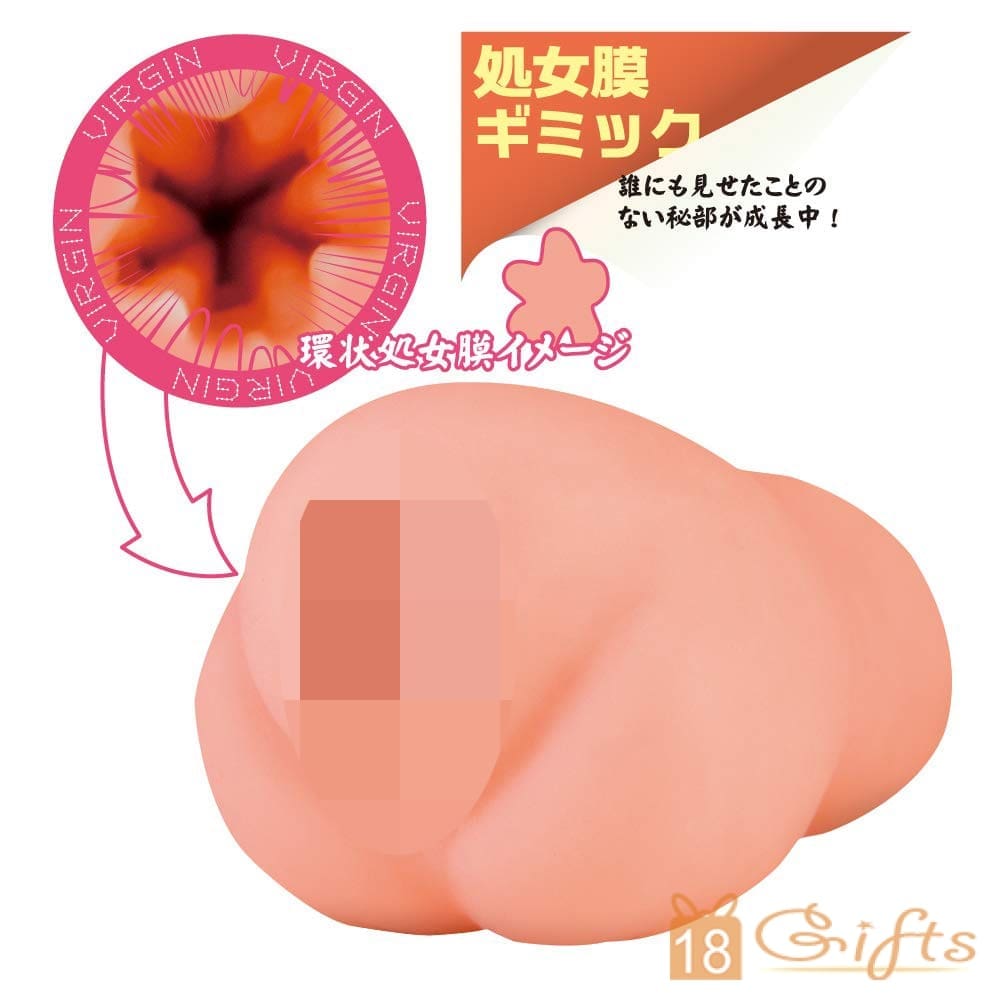 純潔之蜜壼 -進化-