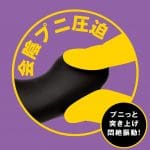 PPP 雌墮後庭指震棒 9