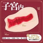 渚いくの的子宮