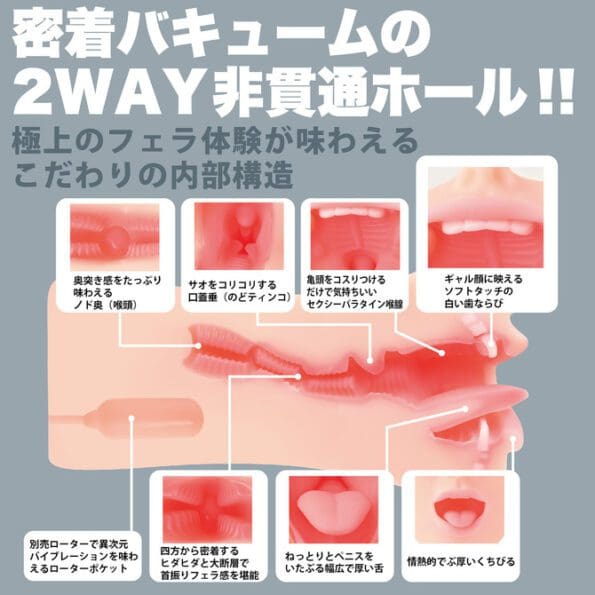 神舌Classic 蘭華