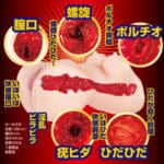 憧憬的美少女燈籠褲 回想編
